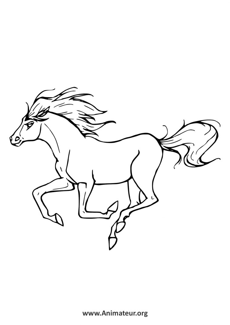 Coloriages De Chevaux à Dessin Des Chevaux