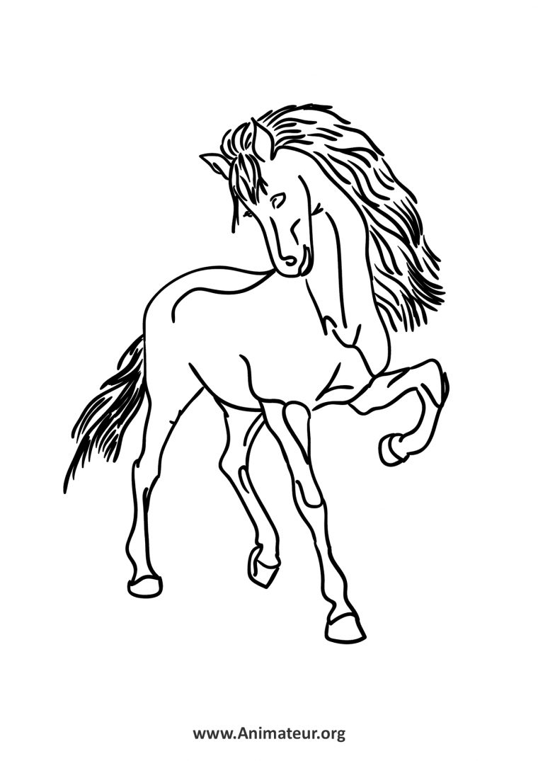 Coloriages De Chevaux concernant Coloriage Des Chevaux