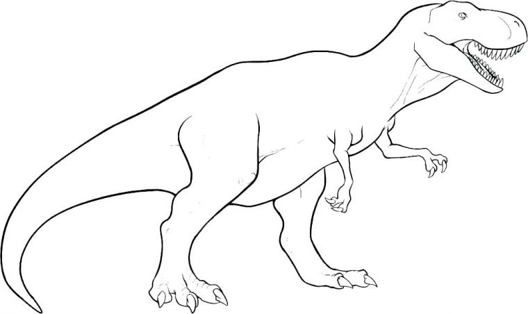 Coloriages De Dinosaures – Maison Bonte : Votre Guide tout Dessin De Dinosaures