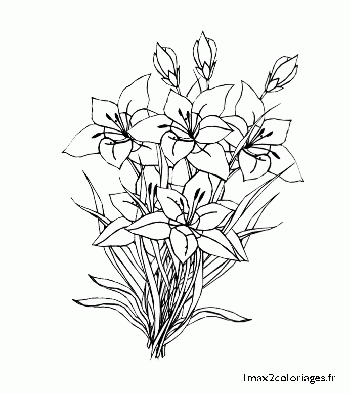 Coloriages De Fleurs - Flowers Coloring Page - Colorear à Dessin De Bouquet De Fleurs A Imprimer Gratuit 