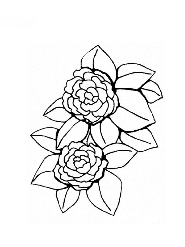 Coloriages De Fleurs tout Coloriage De Fleur 