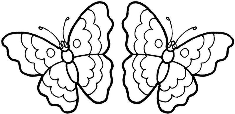Coloriages De Papillon - Maison Bonte : Votre Guide concernant Coloriage Papillon Simple