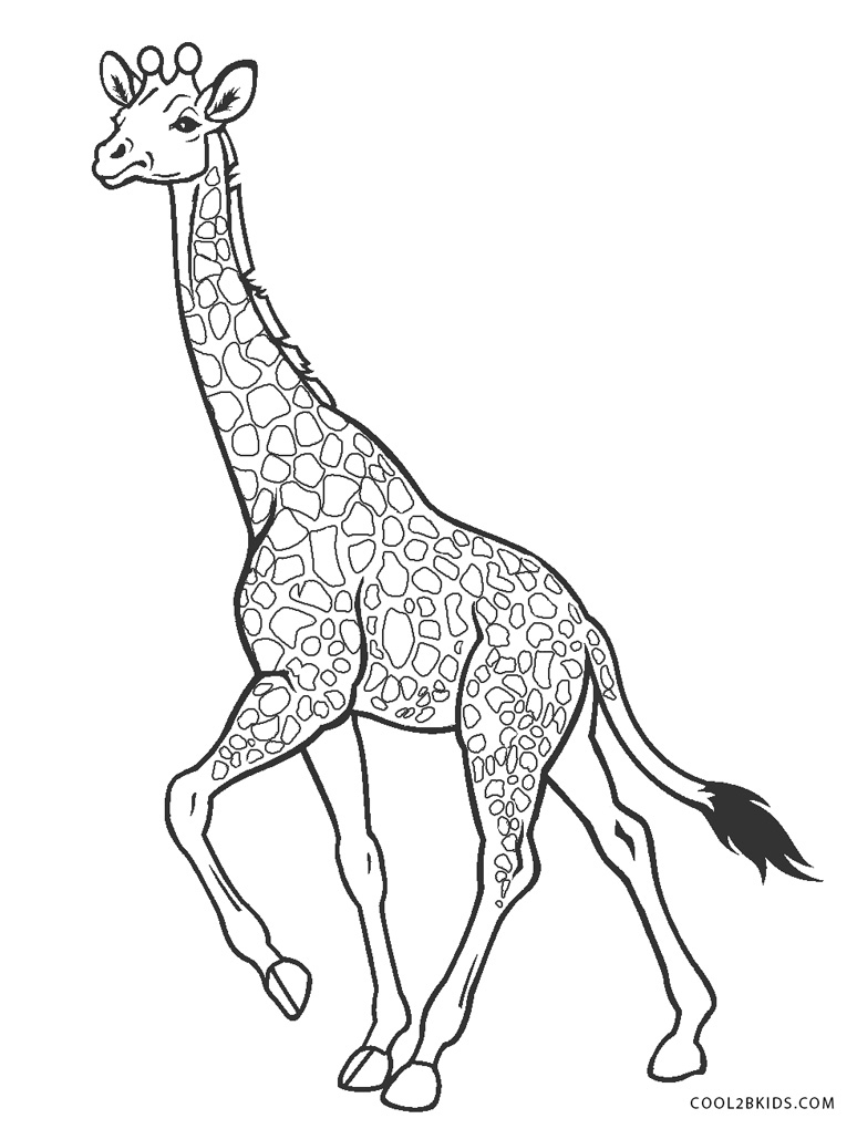Coloriages - Girafe - Coloriages Gratuits À Imprimer à Coloriage Girafe 