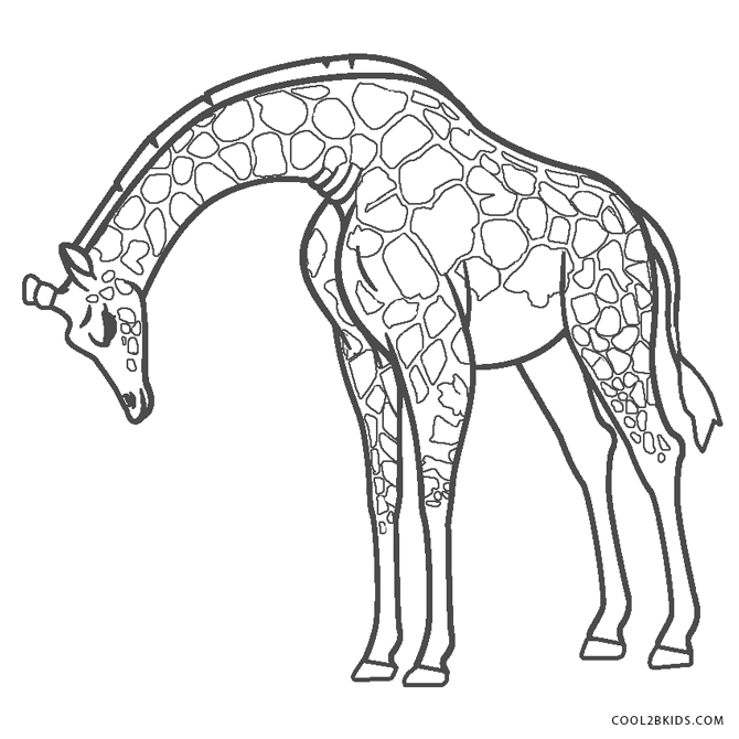 Coloriages - Girafe - Coloriages Gratuits À Imprimer avec Coloriage Girafe 
