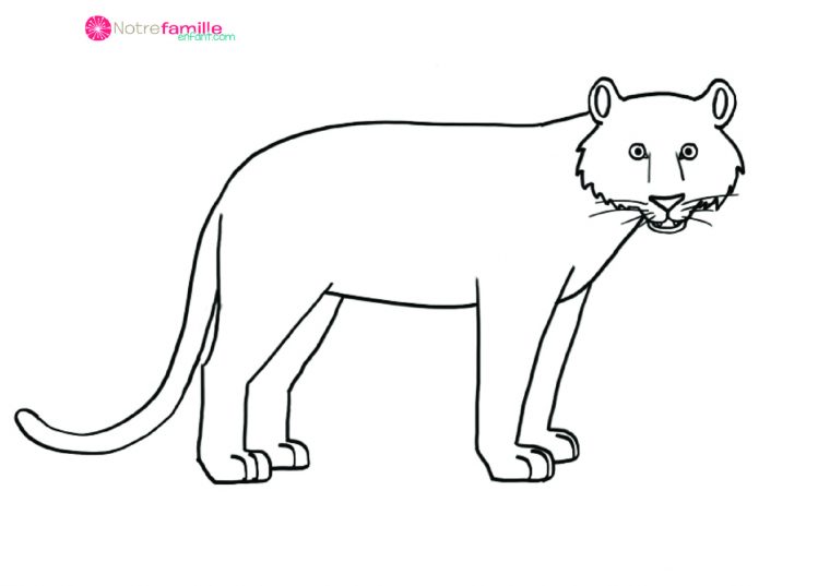 Coloriages : Les Animaux Sauvages à Coloriage Les Animaux Sauvages