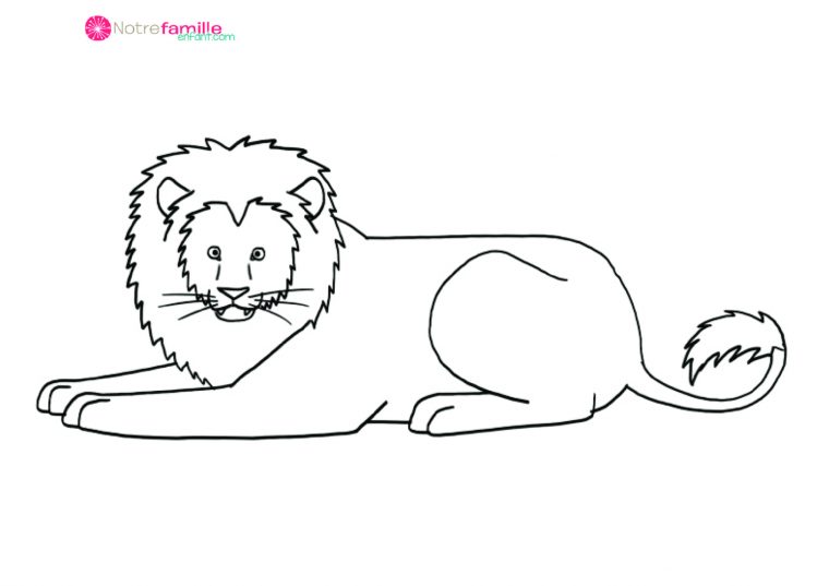 Coloriages : Les Animaux Sauvages tout Coloriage Les Animaux Sauvages