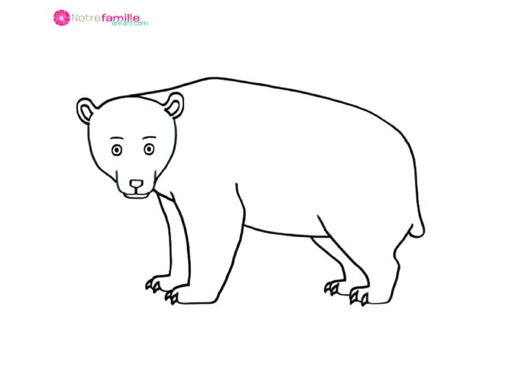 Coloriages : Les Animaux Sauvages tout Coloriage Les Animaux Sauvages