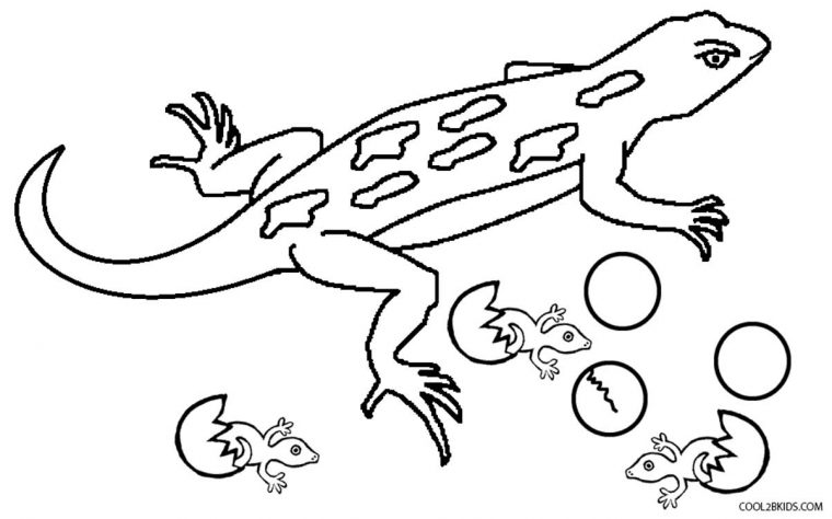 Coloriages – Lézard – Coloriages Gratuits À Imprimer à Coloriage Lézard