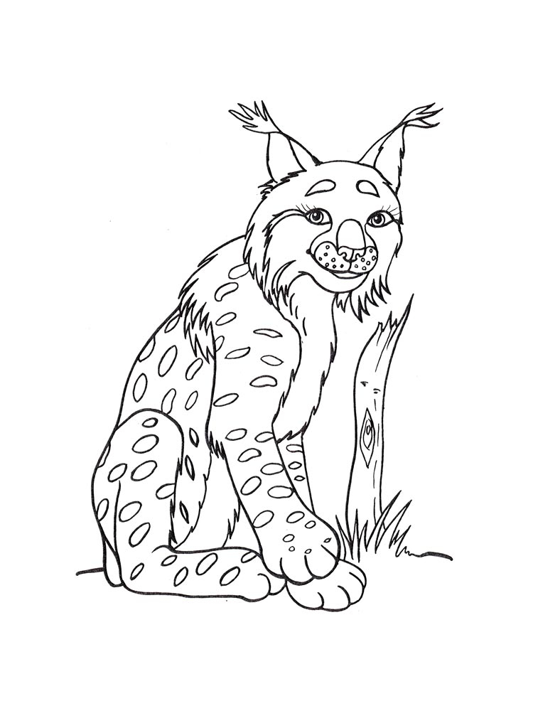 Coloriages Lynx Gratuits À Imprimer Pour Les Enfants intérieur Coloriage De Lynx