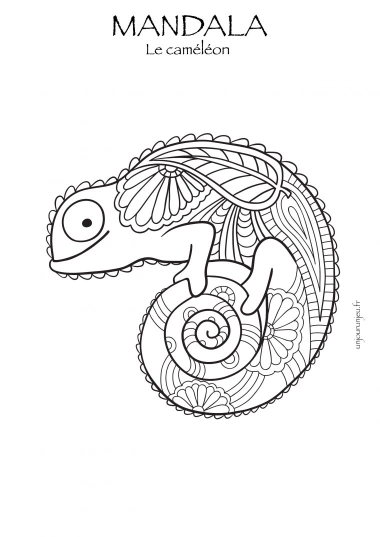 Coloriages Mandalas Animaux À Télécharger, Pour Enfants Et intérieur Dessin A Colorier Pour Adulte