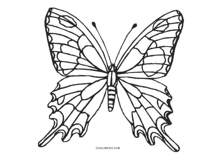 Coloriages – Papillon – Coloriages Gratuits À Imprimer destiné Coloriage Gratuit Papillon