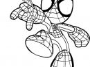 Coloriages Spiderman À Imprimer - Wonder-Day concernant Coloriage Masque Spiderman