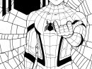 Coloriages Spiderman À Imprimer - Wonder-Day intérieur Coloriage Spiderman