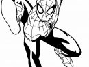 Coloriages Spiderman - Maison Bonte : Votre Guide destiné Coloriage Spidermann