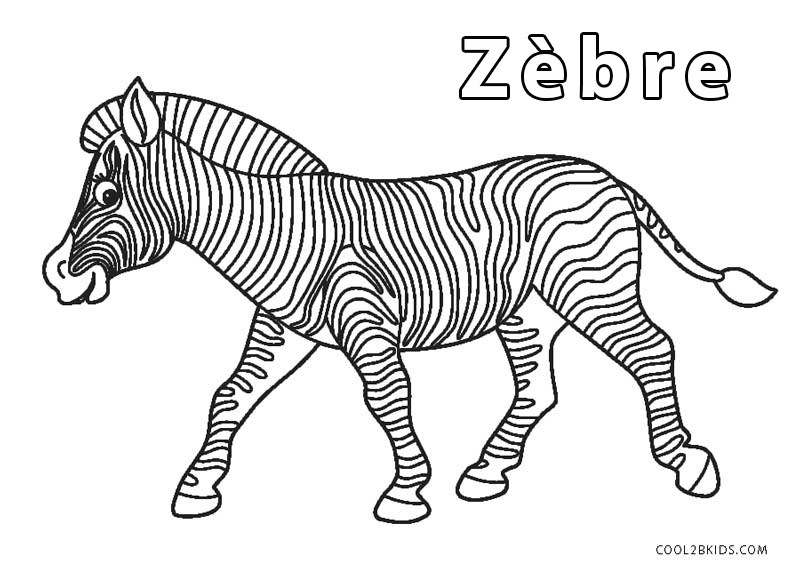 Coloriages - Zèbre - Coloriages Gratuits À Imprimer encequiconcerne Coloriage Zebre 