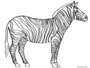 Coloriages - Zèbre - Coloriages Gratuits À Imprimer encequiconcerne Coloriage Zebre