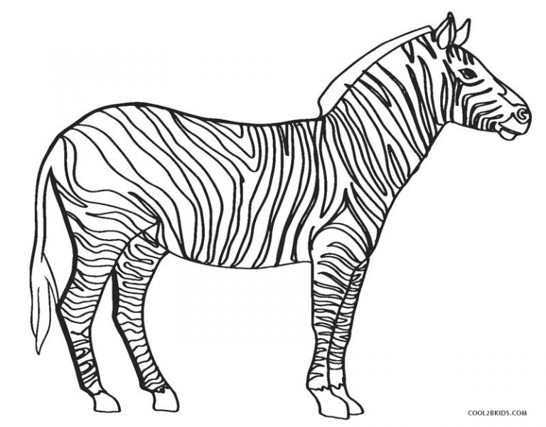 Coloriages - Zèbre - Coloriages Gratuits À Imprimer encequiconcerne Coloriage Zebre 