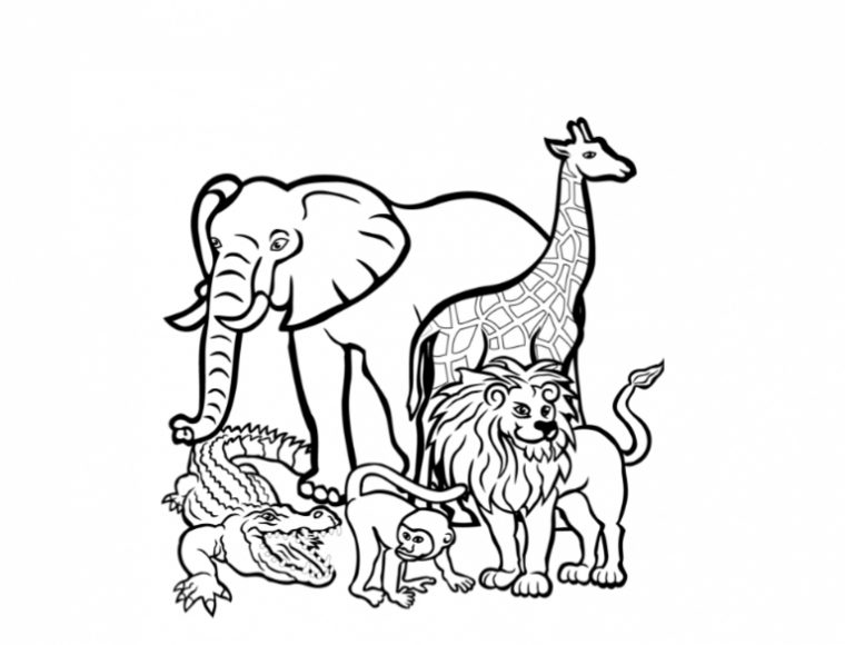 Coloriages Zoo À Imprimer – Livre Coloriage Gratuit serapportantà Dessin 0 Imprimer