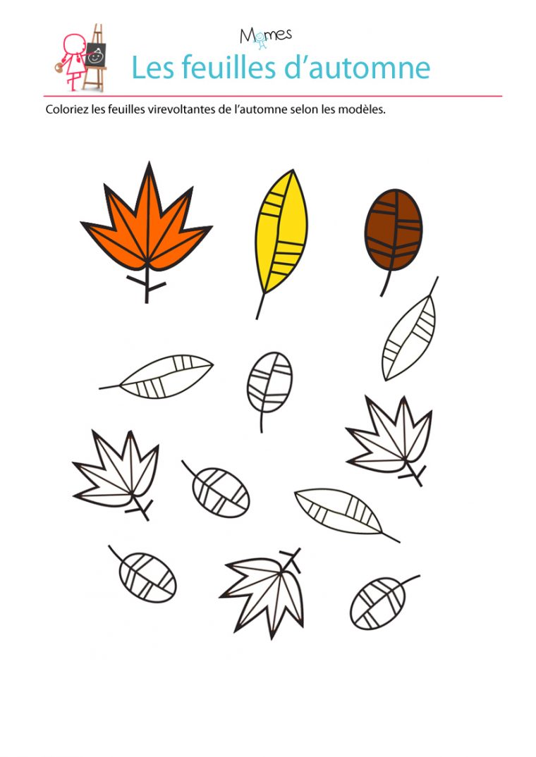 Colorier Les Feuilles Selon Le Modèle  Momes tout Dessin Feuilles