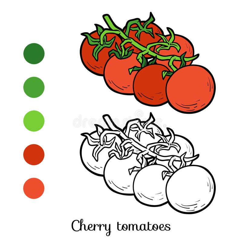 Coloring Book, Cherry Tomatoes Stock Vector - Illustration avec Coloriage Tomate 