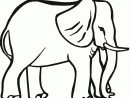 Coloring Pages For Animals: Elephant Big Animals Coloring dedans Coloriage Elephant