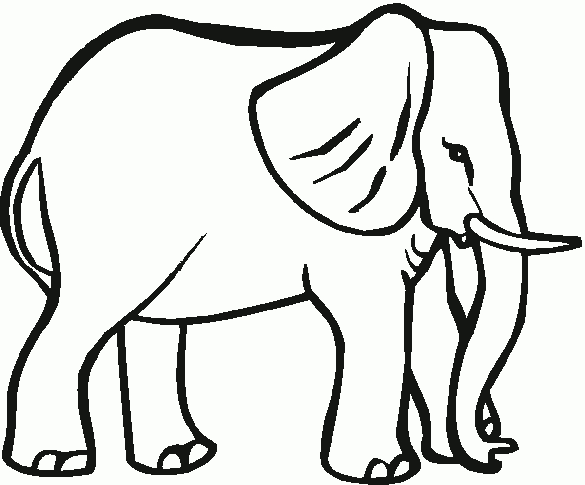 Coloring Pages For Animals: Elephant Big Animals Coloring dedans Coloriage Elephant