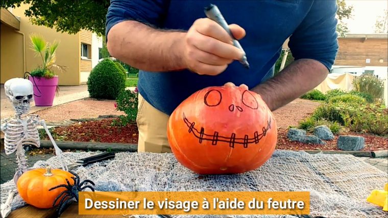 Comment Creuser Une Citrouille Pour Halloween ? – encequiconcerne Patron Pour Citrouille Halloween