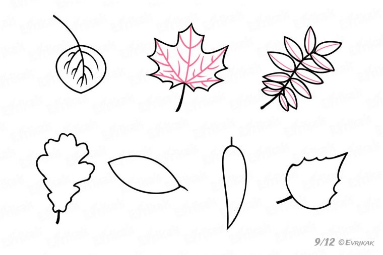 Comment Dessiner Des Feuilles D'Automne Avec Un Crayon concernant Dessiner Des Feuilles