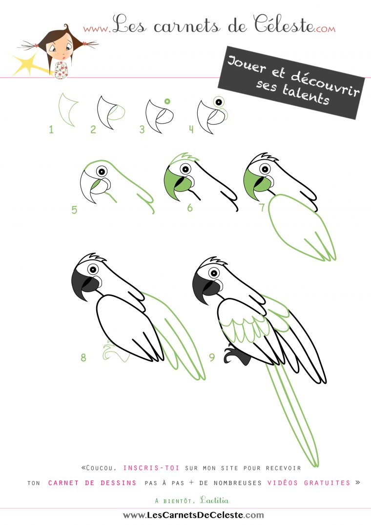 Comment Dessiner Un Ara Hyacinthe – Les Carnets De Céleste encequiconcerne Oiseaux Facile A Dessiner