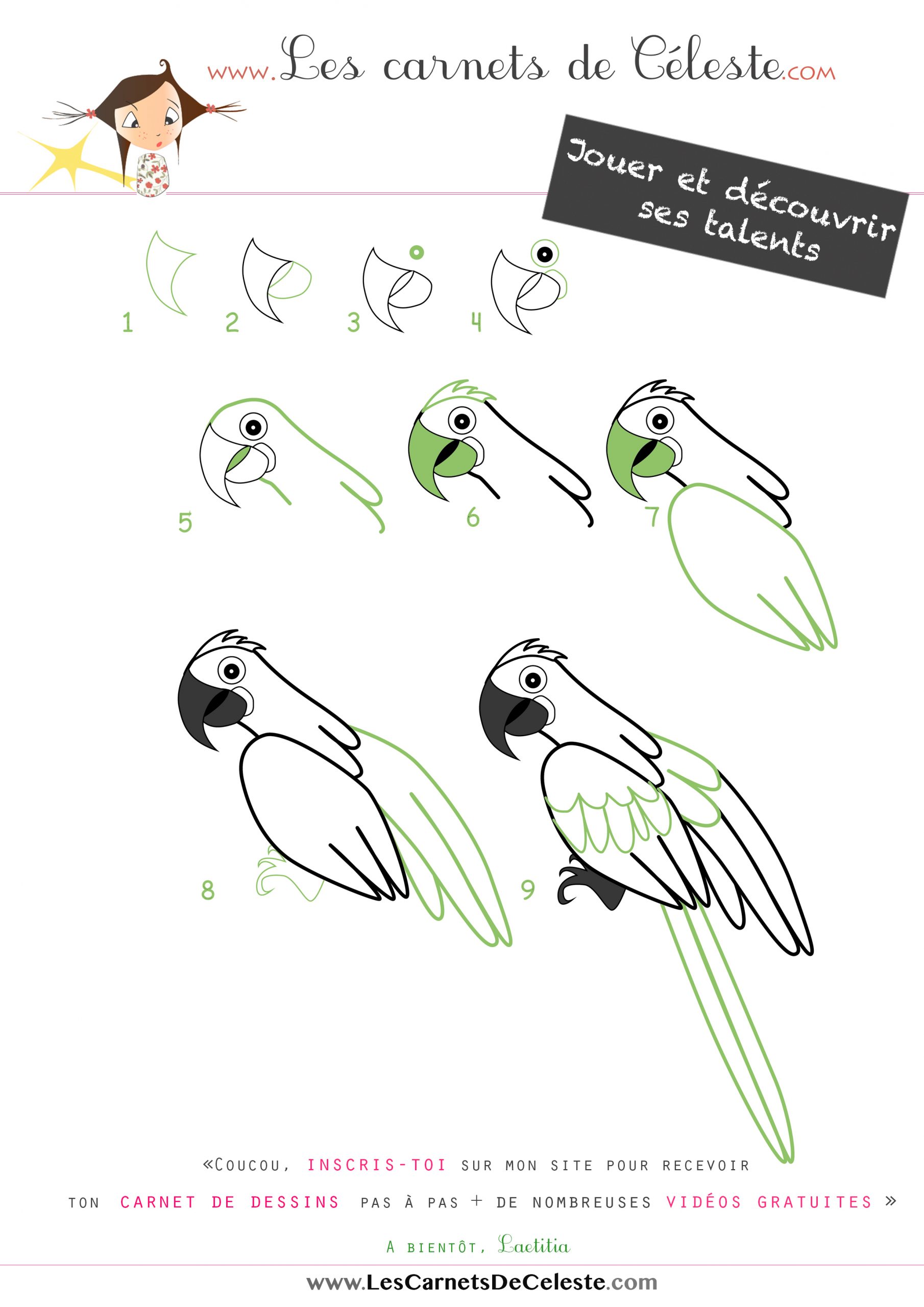 Comment Dessiner Un Ara Hyacinthe - Les Carnets De Céleste encequiconcerne Oiseaux Facile A Dessiner 