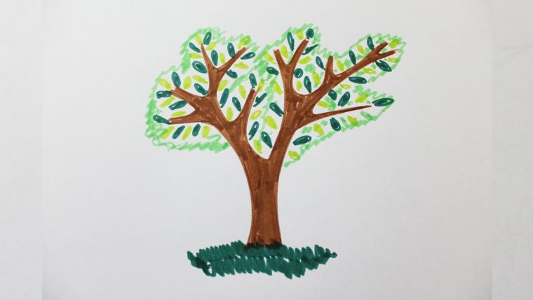 Comment Dessiner Un Arbre – dedans Dessin Un Arbre