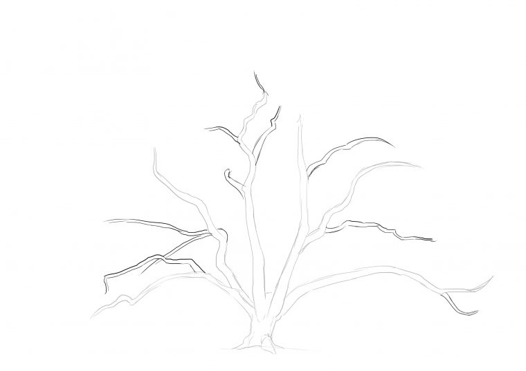 Comment Dessiner Un Arbre En 2021  Comment Dessiner Un dedans Apprendre A Dessiner Des Arbres