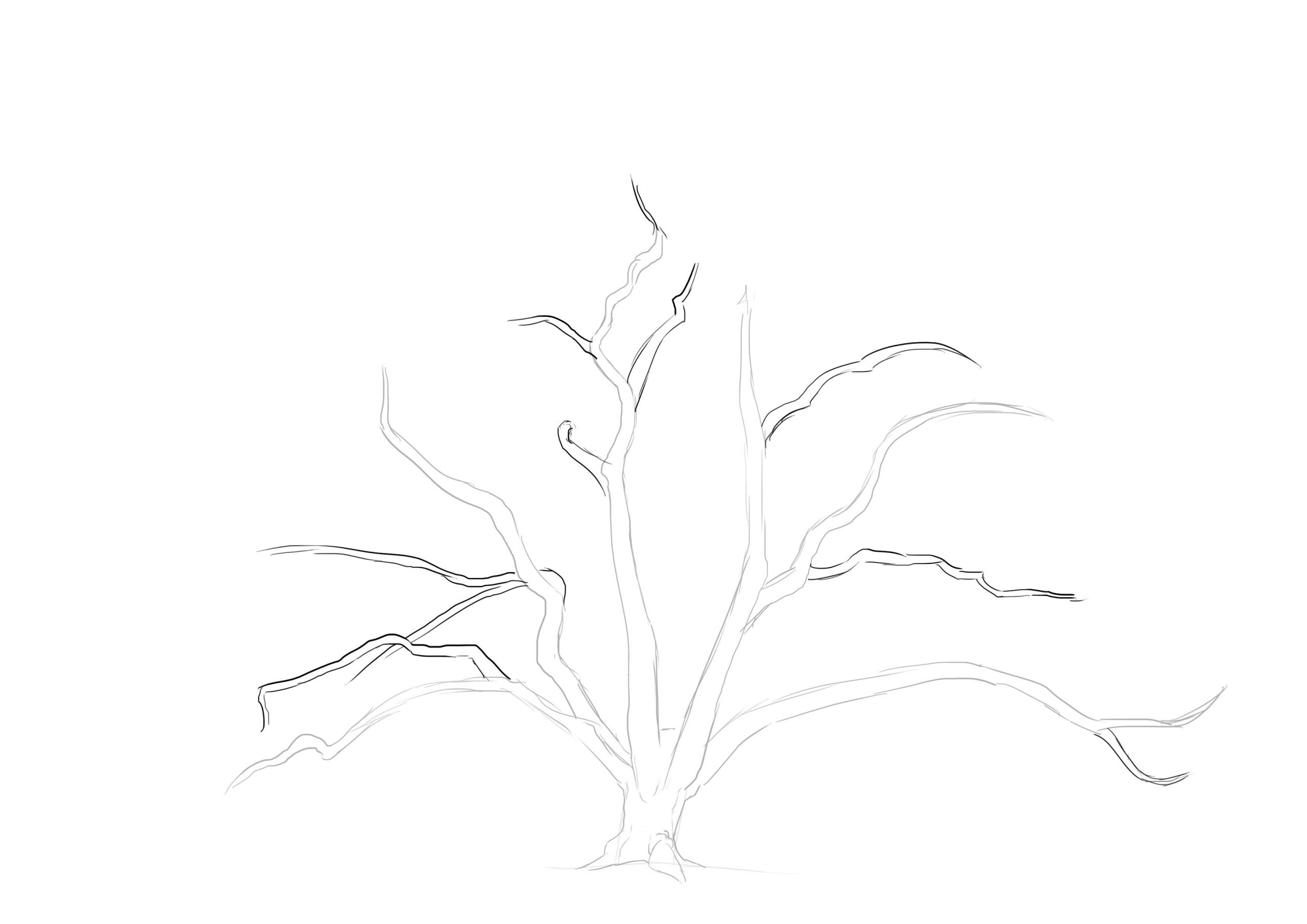 Comment Dessiner Un Arbre En 2021  Comment Dessiner Un dedans Apprendre A Dessiner Des Arbres 