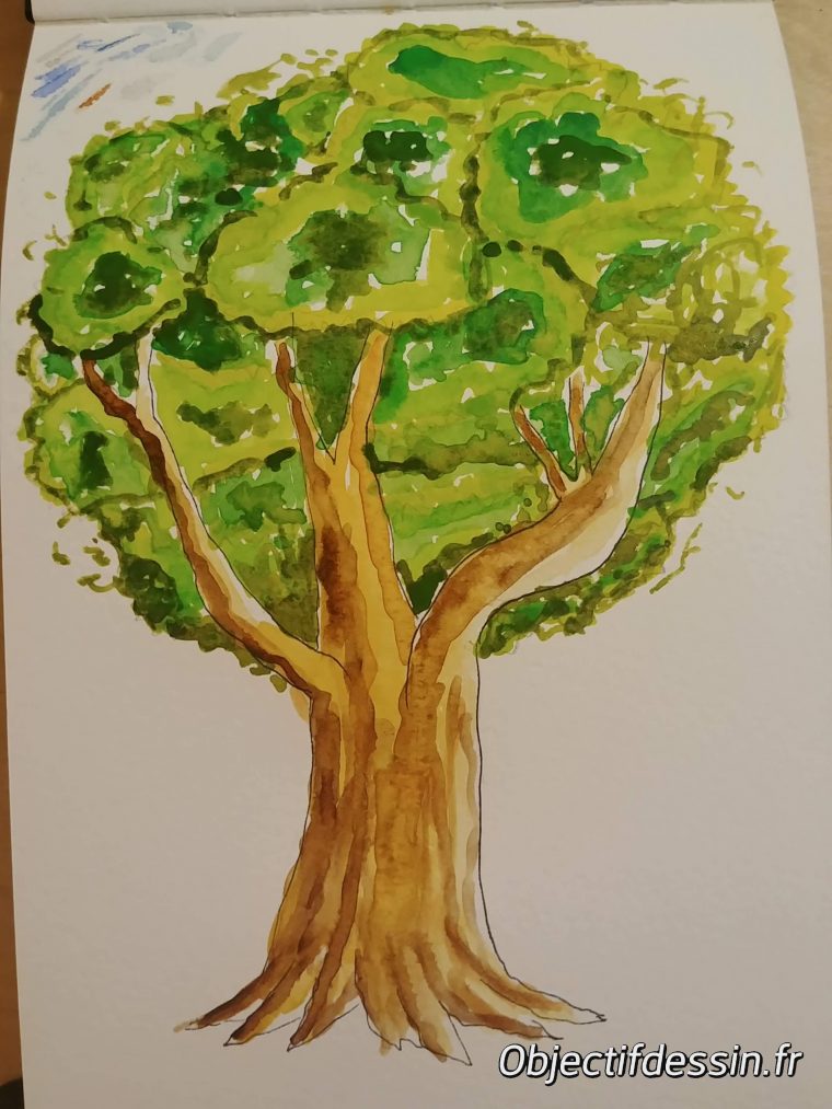 Comment Dessiner Un Arbre? – Objectif Dessin destiné Dessin Un Arbre