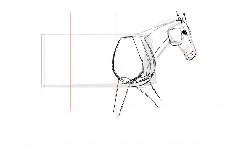 Comment Dessiner Un Cheval  Comment Dessiner Un Cheval pour Cheval A Dessiner Facile