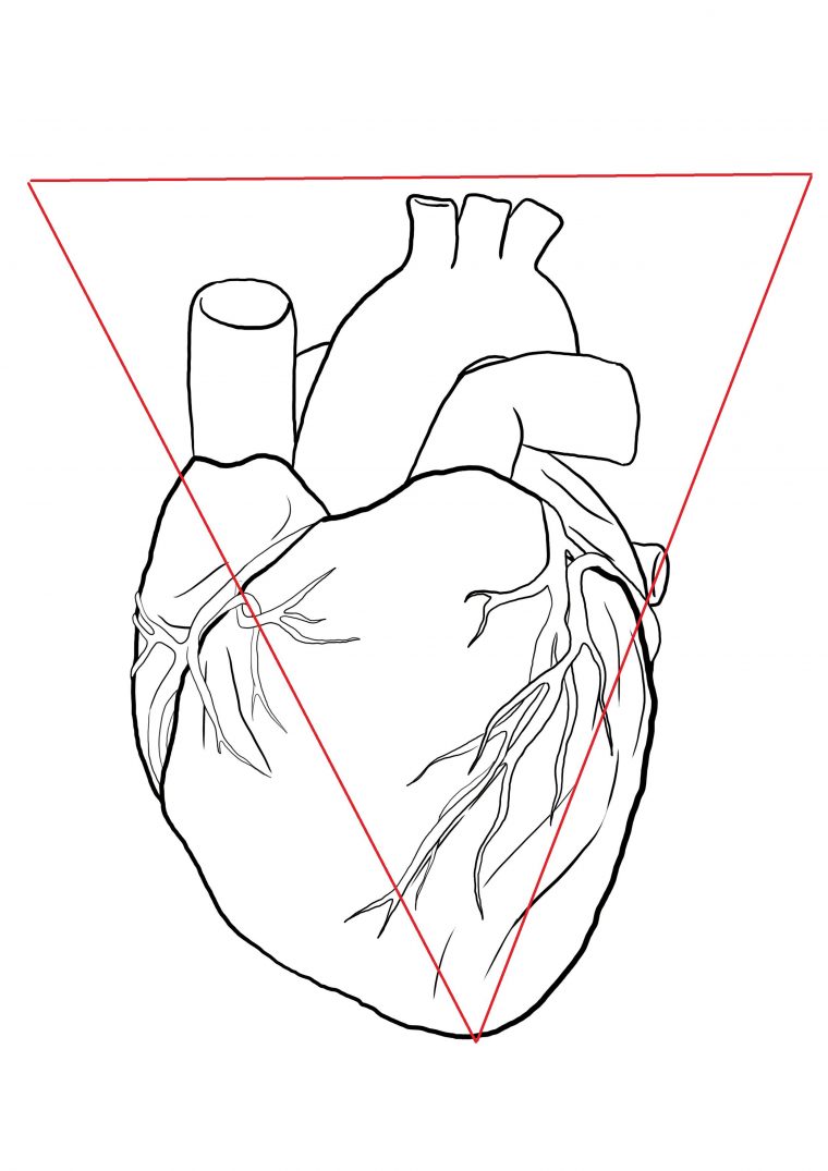 Comment Dessiner Un Coeur Humain  Coeur Humain Dessin encequiconcerne Dessins Coeur