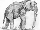 Comment Dessiner Un Elephant - Domi Dessins Et Peintures dedans Dessin D Elephant