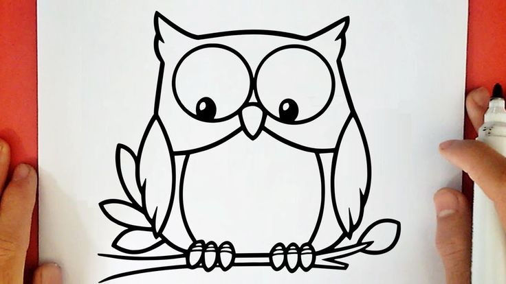 Comment Dessiner Un Hibou -   Hibou Dessin, Dessin pour Dessins Hibou 