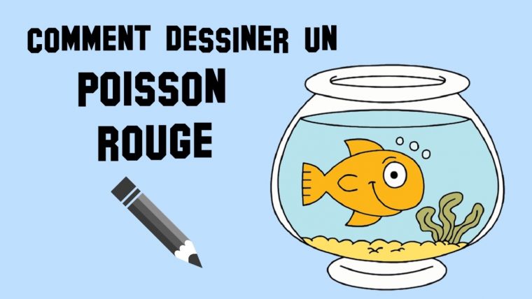 Comment Dessiner Un Poisson pour Poisson Facile A Dessiner