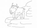Comment Dessiner Une Chèvre - Dessein De Dessin encequiconcerne Comment Dessiner Une Vache Facilement