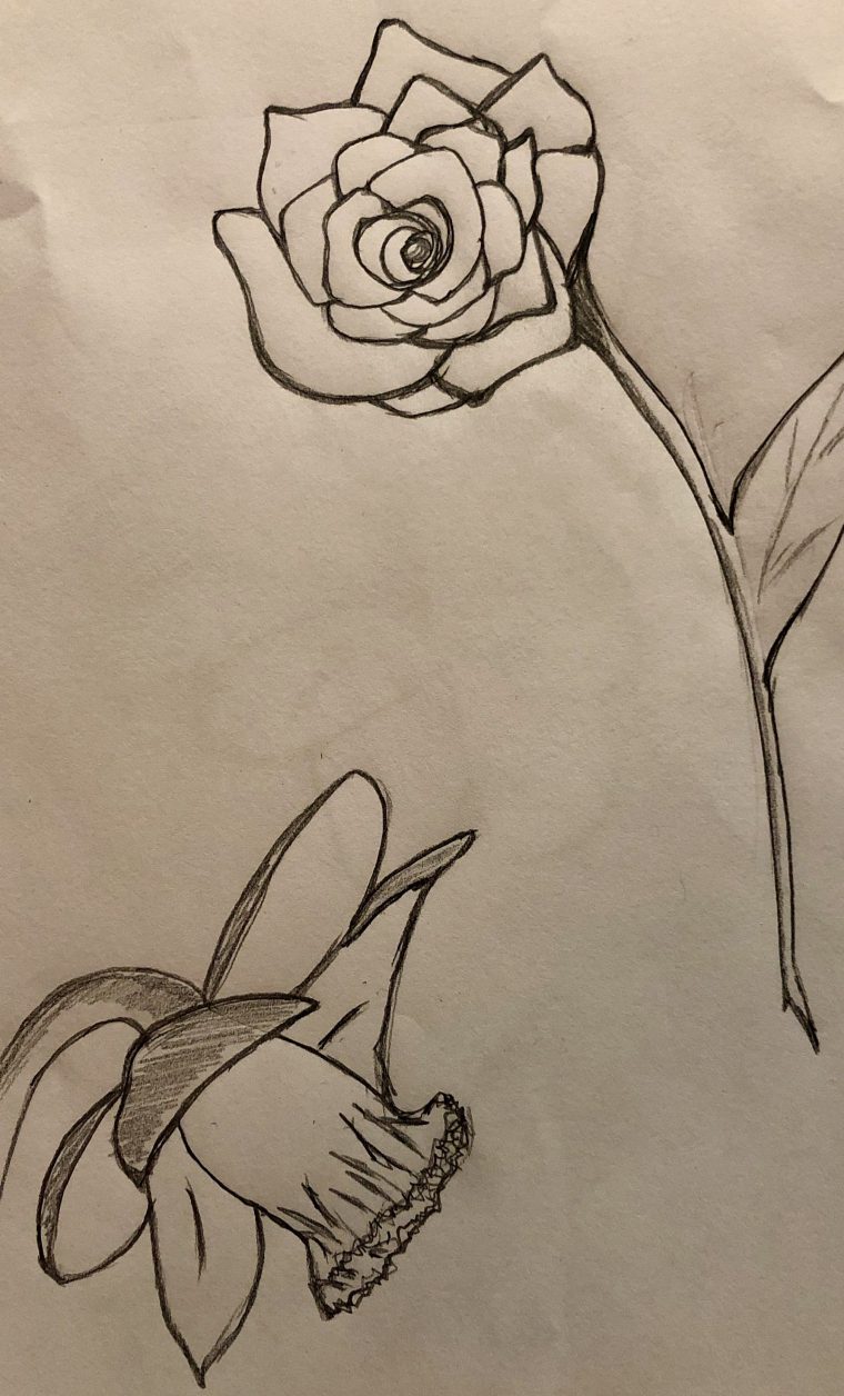 Comment Dessiner Une Fleur  Dessin Fleur, Dessin, Comment intérieur Dessiner Une Tulipe