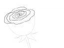 Comment Dessiner Une Rose En 2020  Dessin Rose, Comment dedans Image De Rose A Dessiner