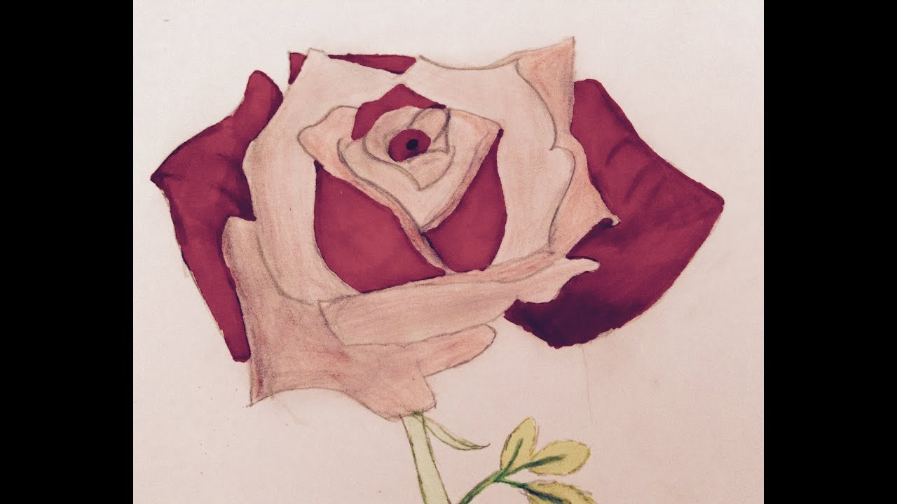 Comment Dessiner Une Rose 🌹 - pour Dessiner Rose