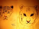 Comment Dessiner Une Tête De Tigre - Domi Dessins Et Peintures tout Comment Dessiner Un Bébé Tigre
