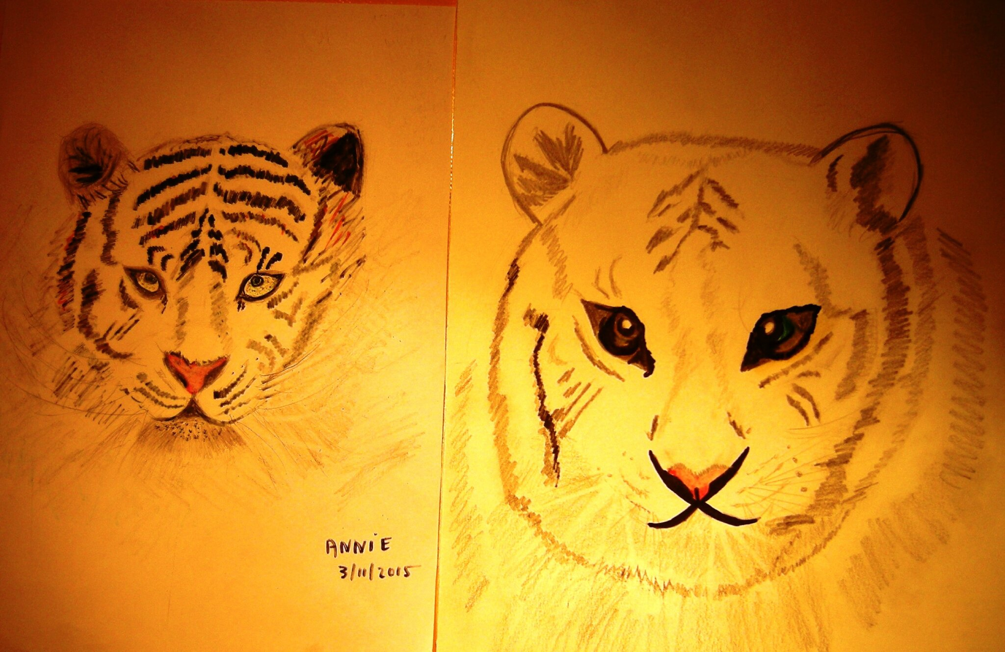Comment Dessiner Une Tête De Tigre - Domi Dessins Et Peintures tout Comment Dessiner Un Bébé Tigre