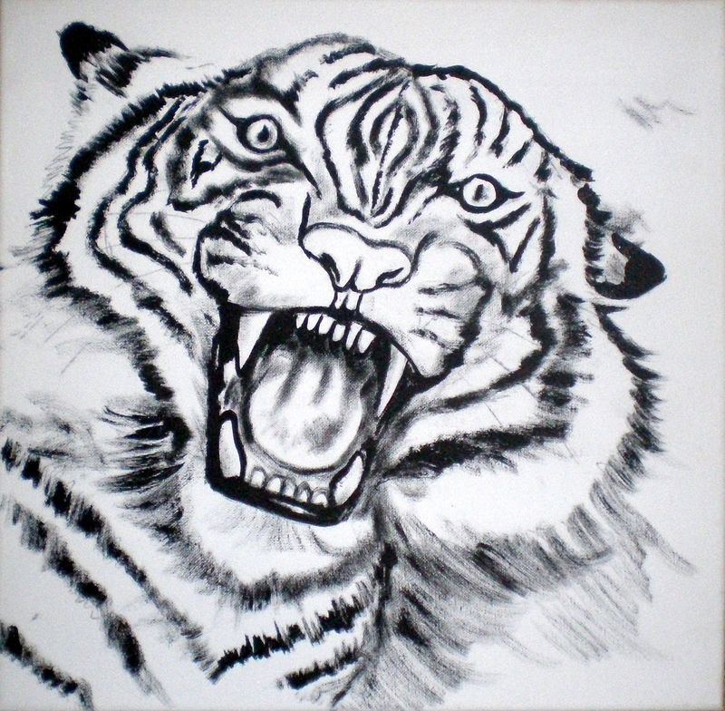 Comment Peindre Une Tête De Tigre - Domi Dessins Et Peintures dedans Dessin De Tigre Blanc 