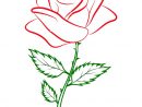 Contour Simple Dessin Couleur D'Une Rose Rouge Sur Un pour Dessin Facile De Rose