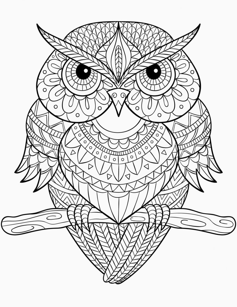 Cool Mandala A Imprimer Gratuitement D Animaux 87 Pour dedans Coloriage À Imprimer Animaux