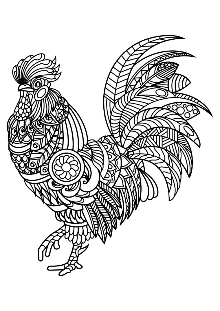 Coq – Coloriage D'Oiseaux – Coloriages Pour Enfants dedans Dessin Coq