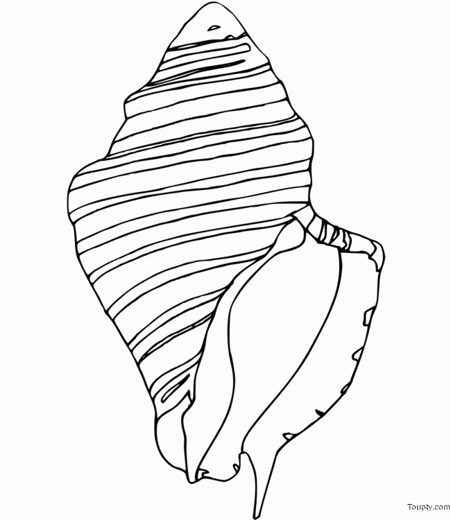 Coquillage – Coloriage A Imprimer à Coquillage Dessin